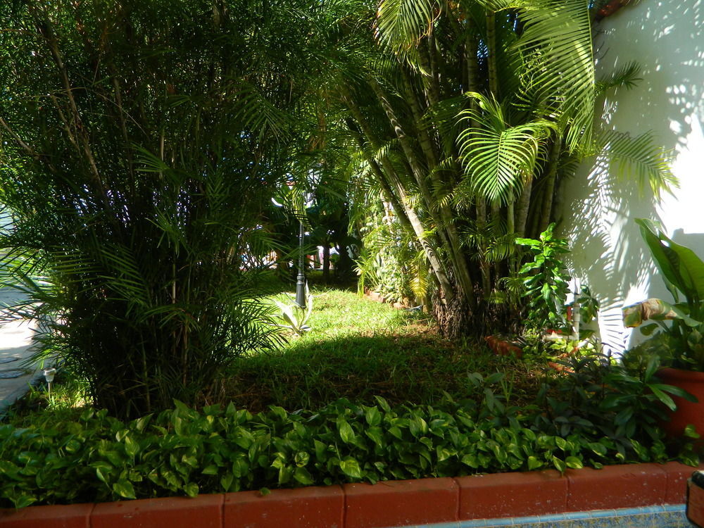 Hotel Colon Mérida Εξωτερικό φωτογραφία